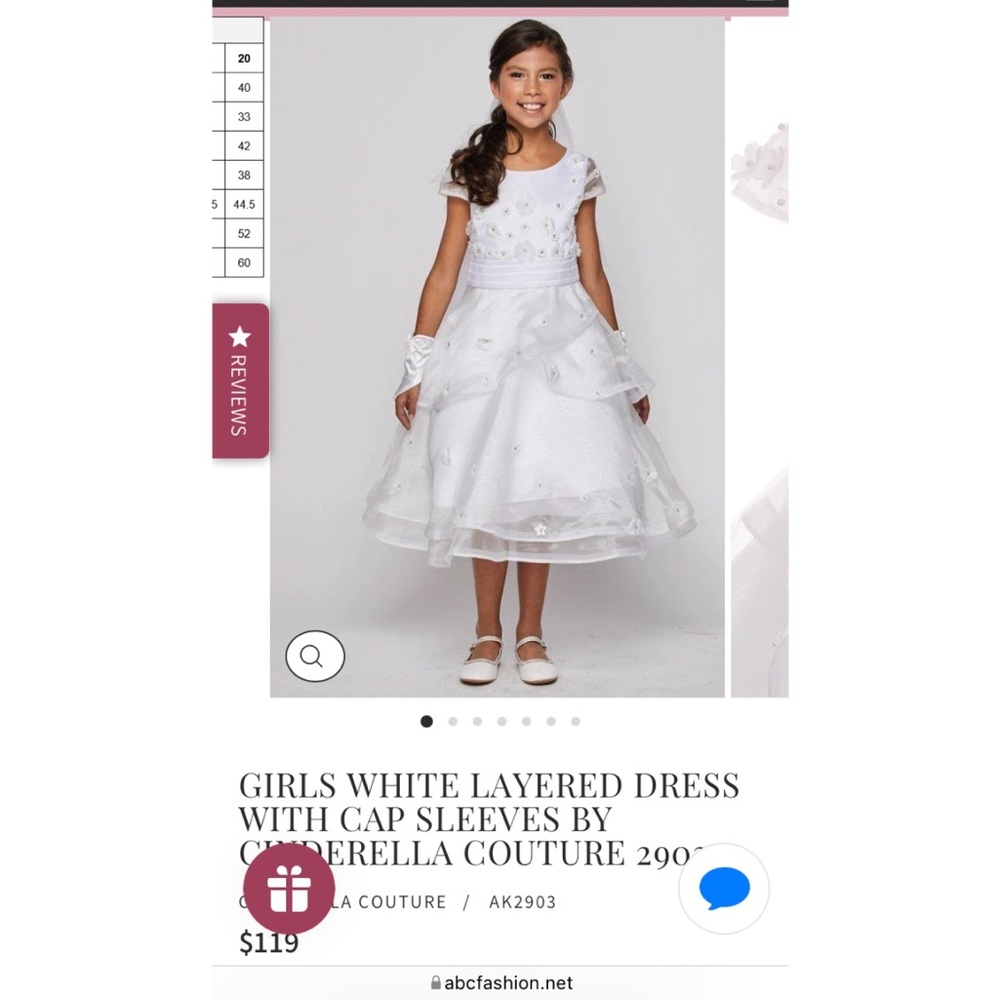 Cinderella Couture dress
